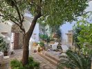 PICTURES/Cordoba - Hotel Balcon de Cordoba/t_20231028_162048.jpg